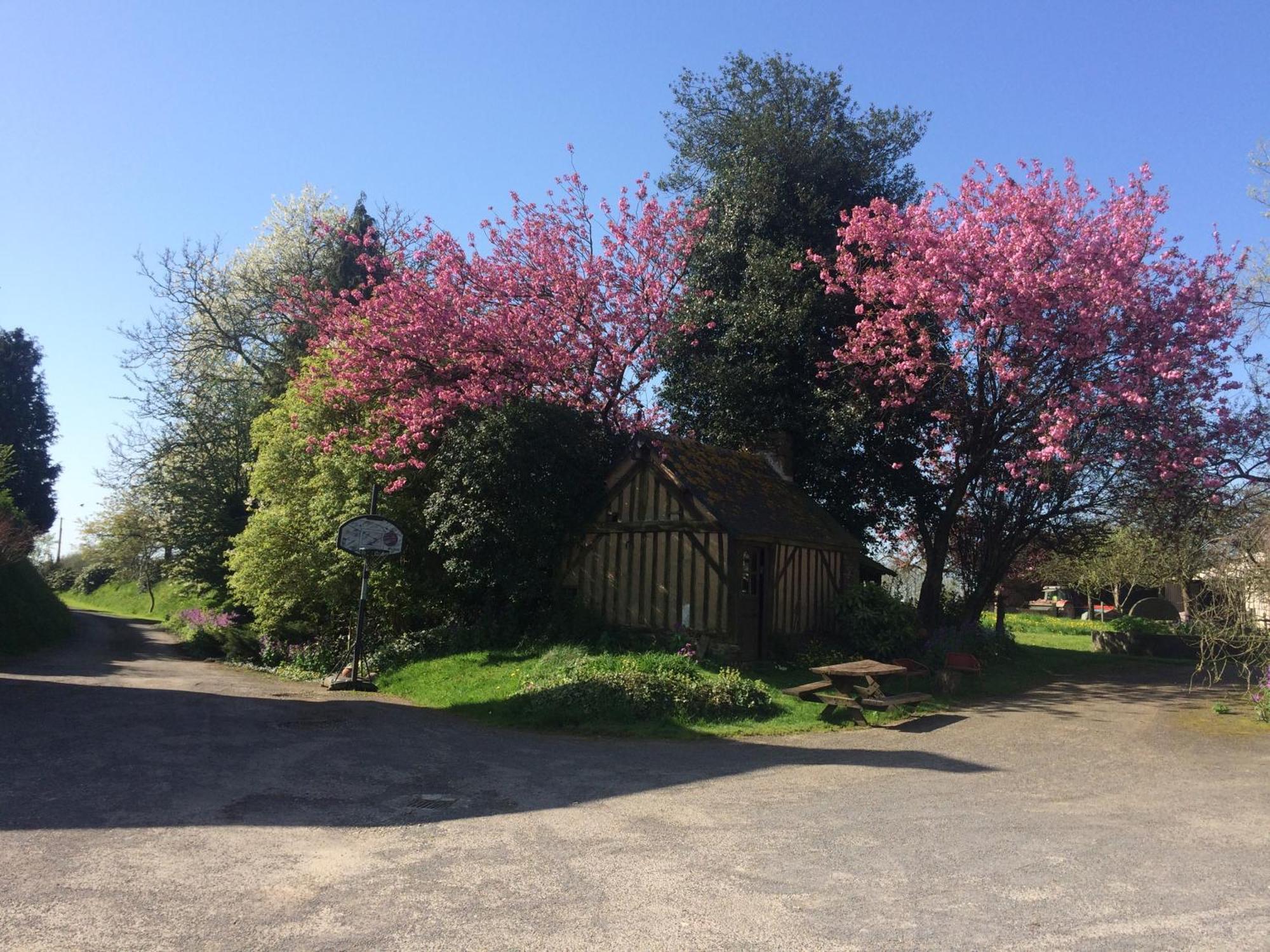 Bed and Breakfast Ferme De La Gortiere Le Teilleul Esterno foto