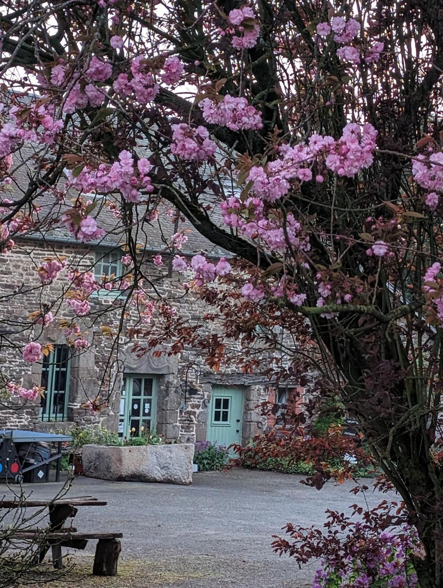 Bed and Breakfast Ferme De La Gortiere Le Teilleul Esterno foto