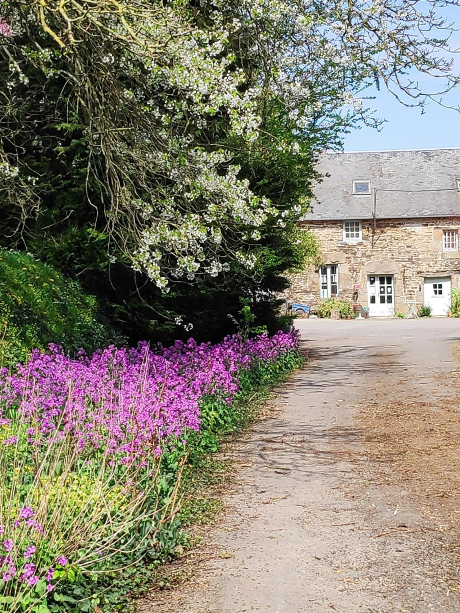Bed and Breakfast Ferme De La Gortiere Le Teilleul Esterno foto